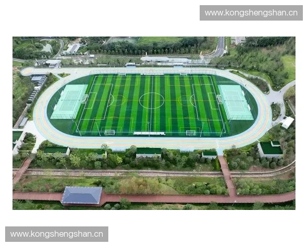 以体育绿色场馆为核心推动城市低碳发展与全民健康融合新路径