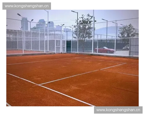 硬地网球赛事中的技术技巧分析与战术布局研究